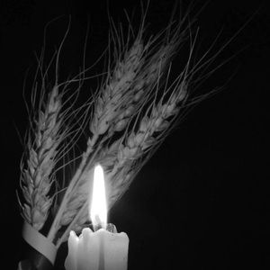 Meet your Posher, Hong